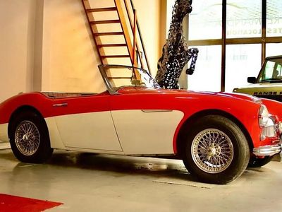 Occasion Austin Healey 3000 MK II 133 ch (97 kW) 1962 Rouge Cabriolet