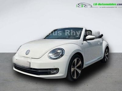 VW Beetle
