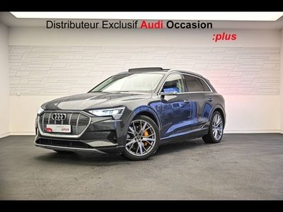 occasion Audi e-tron Avus extended 55 quattro 300,00 kW