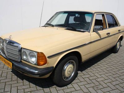 Jaune Occasion 1981 Mercedes 200 Berline | 8 900 €