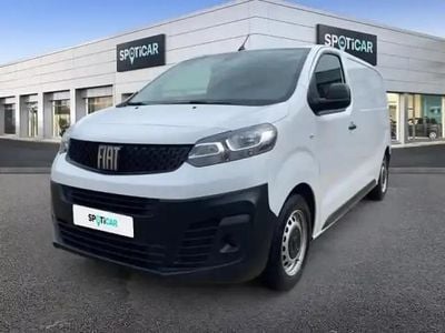 Blanc Occasion 2023 Fiat Scudo Business Van | 28 490 € (Prix assez cher)