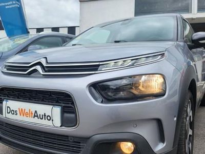 Occasion Citroën C4 Cactus Business Class 100 ch (73 kW) 2019 Citadine