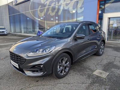 Occasion Ford Kuga ST-Line 152 ch (111 kW) 2022 SUV