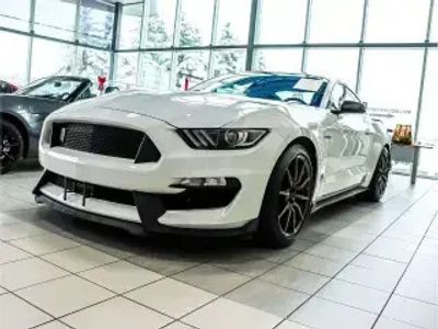 occasion Ford Mustang GT Shelby Gt350 V8 5.2l 350 2016