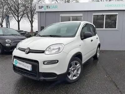 Occasion Fiat Panda S 70 ch (51 kW) 2023 Blanc Citadine