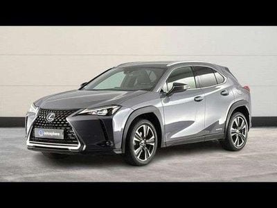 Occasion Lexus UX 250h 184 ch (135 kW) 2021 SUV