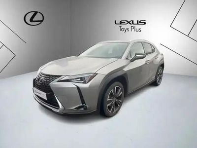 Occasion Lexus UX 250h 154 ch (113 kW) 2022 Gris SUV