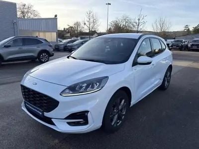 Occasion Ford Kuga Business Edition 152 ch (111 kW) 2023 Blanc glacier SUV