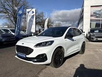 Occasion Ford Kuga ST-Line X 154 ch (113 kW) 2023 Blanc SUV