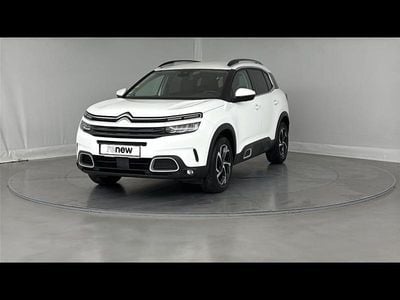 Occasion Citroën C5 Aircross Feel 2021 Blanc SUV