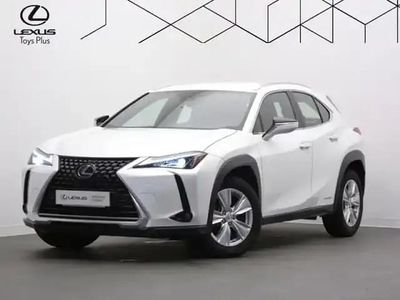 Occasion Lexus UX 250h Business Edition 154 ch (113 kW) 2022 Gris SUV