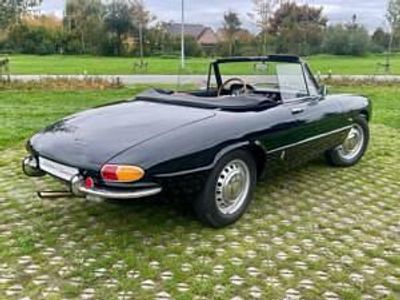 Noir Occasion 1966 Alfa Romeo Spider Cabriolet | 45 000 €