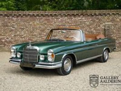 Vert Occasion 1964 Mercedes 220 SE Cabriolet | 159 950 €