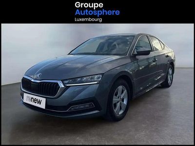 Gris Occasion 2023 Skoda Octavia Ambition Berline | 18 990 €