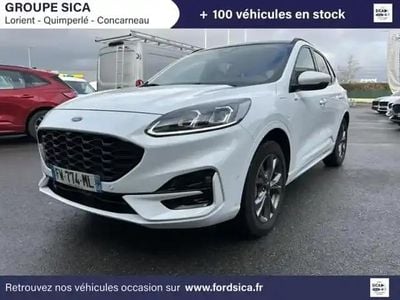 Occasion Ford Kuga ST-Line X 2021 Blanc glacier SUV