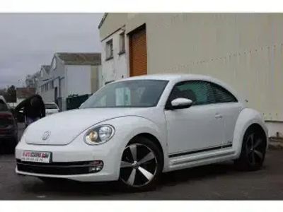 VW Beetle