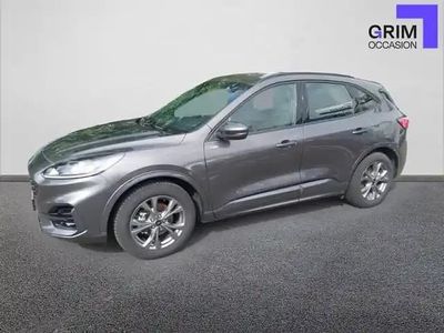 Gris Occasion 2024 Ford Kuga ST-Line SUV | 27 990 € (Prix juste)