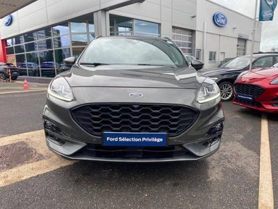 occasion Ford Kuga 2.5 Duratec 190 Ch Fhev E-cvt St-line Business