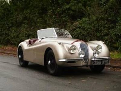 Autres Occasion 1953 Jaguar XK Cabriolet | 114 594 €