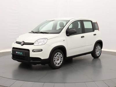 occasion Fiat Panda 1.0 70ch BSG S&S