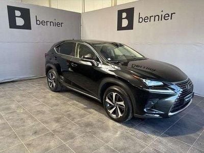 Occasion Lexus NX300h Executive Line 197 ch (144 kW) 2020 SUV