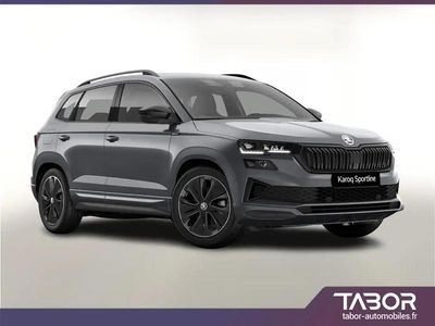 Gris Nouvelle 2025 Skoda Karoq SUV | 39 013 € (Prix assez cher)