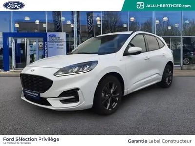 Blanc glacier Occasion 2022 Ford Kuga Business Edition SUV | 27 489 € (Prix juste)