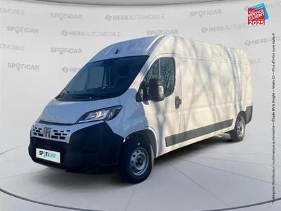 Blanc Nouvelle 2025 Fiat Ducato S Van | 36 000 € (Super prix)