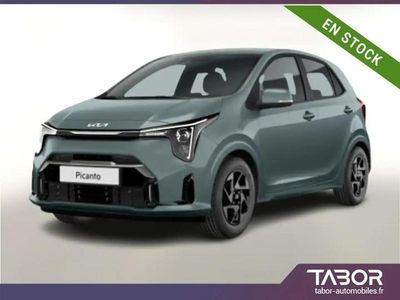 Vert Nouvelle 2025 Kia Picanto Citadine | 17 131 € (Prix juste)