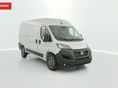 Gris Occasion 2023 Fiat Ducato Van | 46 680 €