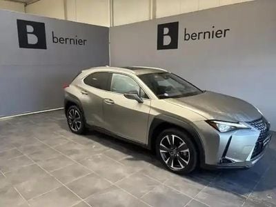 Gris titane métallisé Occasion 2021 Lexus UX 250h Executive Line SUV | 29 980 € (Bon prix)
