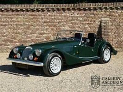 Vert Occasion 1991 Morgan Plus 8 Cabriolet | 59 950 €