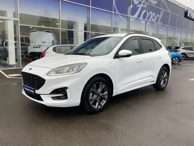 Blanc Occasion 2022 Ford Kuga Business Edition SUV | 23 990 € (Bon prix)