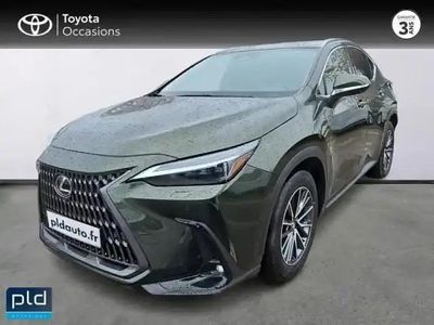 Occasion Lexus NX450h+ 185 ch (136 kW) 2024 Vert kaki métallisé SUV