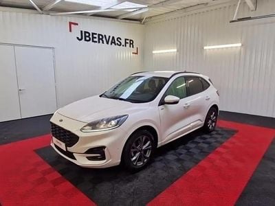 Occasion Ford Kuga ST-Line 152 ch (111 kW) 2023 Blanc SUV