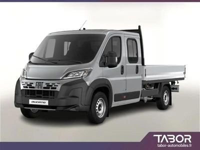Gris Nouvelle 2025 Fiat Ducato Van | 37 702 € (Prix juste)