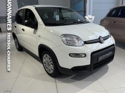 occasion Fiat Panda MY22 1.0 70 ch Hybride BSG S/S
