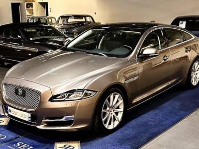 Occasion Jaguar XJ 300 ch (220 kW) 2018 Berline
