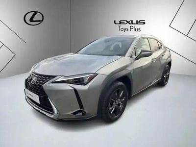 Occasion Lexus UX 250h 154 ch (113 kW) 2022 Gris SUV