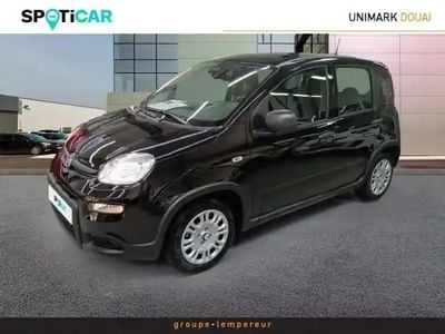 Noir Occasion 2025 Fiat Panda S Citadine | 15 291 € (Prix juste)