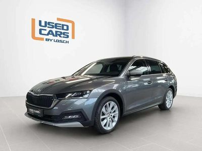 Gris Occasion 2022 Skoda Octavia Break | 34 861 € (Prix juste)