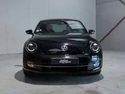 VW Beetle