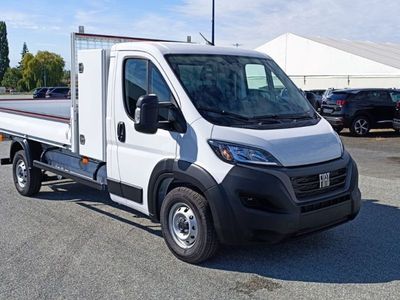 Blanc Occasion 2023 Fiat Ducato Van | 43 080 €