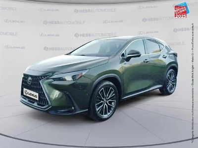 Vert Occasion 2022 Lexus NX450h+ Executive Line SUV | 45 999 € (Prix assez cher)