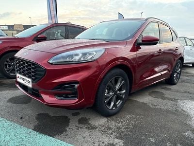 Occasion Ford Kuga ST-Line X 190 ch (139 kW) 2023 Rouge SUV