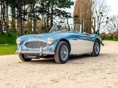 Occasion Austin Healey 100 118 ch (86 kW) 1959 Bleu Cabriolet