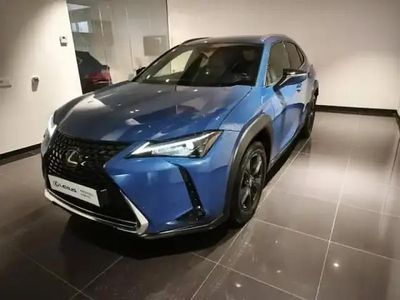 Occasion Lexus UX 250h 152 ch (111 kW) 2023 Bleu celeste métallisé SUV