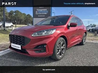 Rouge Occasion 2023 Ford Kuga ST-Line X SUV | 28 490 € (Prix juste)