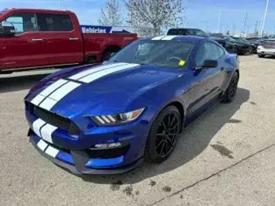 occasion Ford Mustang GT Shelby Gt350 5.2l V8 350 2016
