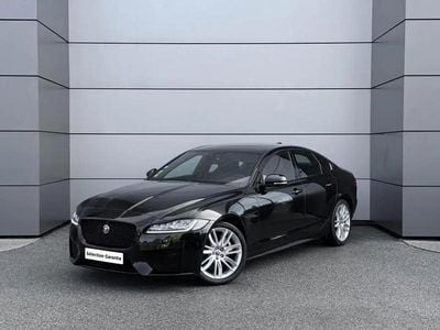 Occasion Jaguar XF Chequered Flag 182 ch (133 kW) 2021 Noir Berline